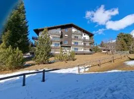 Damiez (371 Br)