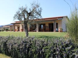 Agriturismo Il vecchio mandorlo ฟาร์มสเตย์ในกาส์ตีจลิโอเน เดลลา เปสกายา