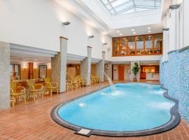 Aranyhomok Business-City-Wellness Hotel, hotell i Kecskemét
