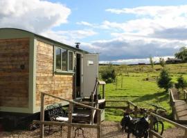 Lizzie off grid Shepherds Hut The Buteland Stop, rumah percutian di Bellingham