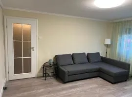 Premium Apartment Șagului