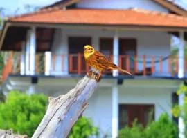 Pearl Cave Cabanas & Resturant