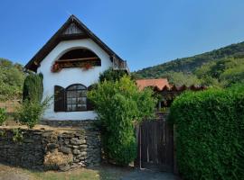 Szent György-hegyi ház, hotel with parking in Hegymagas