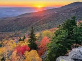 Dollywood Vacation Retreat