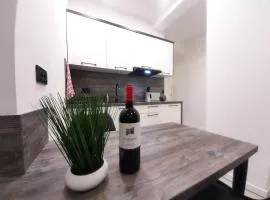 Apartments MiS-for you in city center