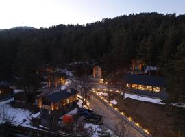 Abant Niz, lodge in Bolu