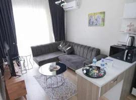 Classic Suite TS23