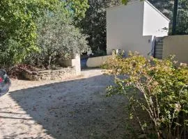 Nouveauté studio sur les hauteurs.