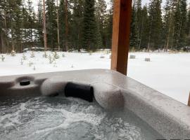 NEW HOT TUB! Secluded, tucked away cabin, hotell med parkeringsplass i Fairplay