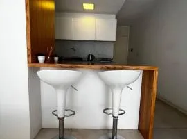 Mono frente al sanatorio de la mujer