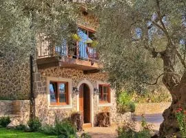 OLIVE QUEEN Rustic Villa