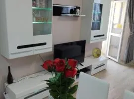 Luxury and stylish apartmen, metro station Obelya