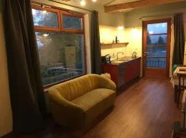 ziggy's room with a view