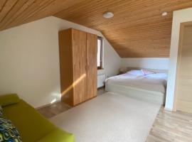 Apartma Regina, apartamento en Slovenj Gradec