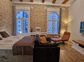 Old Town Apartments Rajiceva 3، فندق بالقرب من Belgrade Fortress، بلغراد