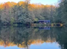 Chalet nature avec étang, terrasse et pêche No Kill - 2 chambres - FR-1-410-383