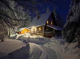 Kuća za odmor Curl, place to stay in Delnice