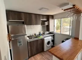 DPTO MODERNO AMOBLADO TEMPORARIO PARANÁ, Entre Ríos