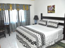 Embassy Deluxe apartment: Kingston şehrinde bir kiralık tatil yeri