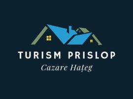 CAZARE TURISM PRISLOP, guest house in Haţeg
