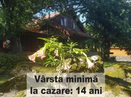 Casa Bunicului, farm stay in Vistisoara