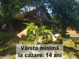Casa Bunicului