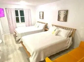 Pineapple Shores Retro Inn 3