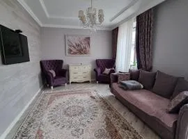 Luxury Stefan cel mare Apartment