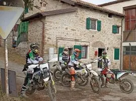 La Corte dei Celti