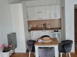 Apartman Tina