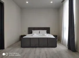 Apartments Domovik Миру 11с /11
