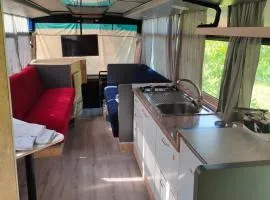 terrebioBus