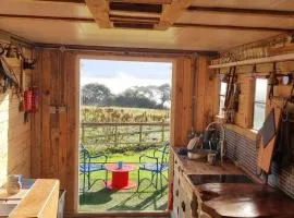 Betty Bedford Horsebox Glamping