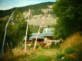 Consulat des Elohim chez Allan et Lili-Peace