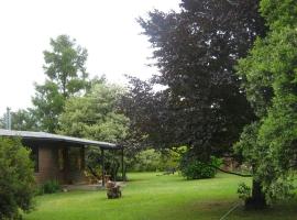 Cabaña Pucón, beach rental in Pucón