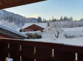 Ferme savoyarde rénovée 2 chambres, cabin in Les Carroz d'Araches