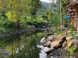 Baan Tarn Naam