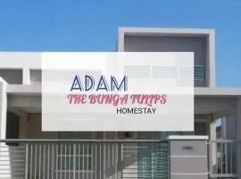 AdamPoolHomestay