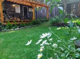 Cabañita del bosque