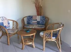 Charmant petit T2 dans maison