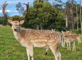 Wally's Edge 20acre Farm Stay