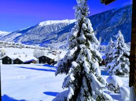 Studio mit traumhafter Aussicht, renta vacacional en Ritzingen