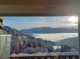 Local Vélo - Studio en pleine nature Puyvalador