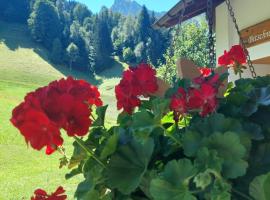 Bergmomente Montafon Ferienhaus Bitschweil, hotell sihtkohas Tschagguns