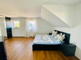 Homestay Offers Private Bedroom and Bathroom near Speyer and Hockenheim, cheap hotel in Altlußheim