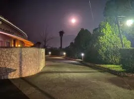 American Motel