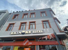 Ekinoks Hotel、İznikのホテル
