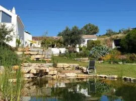 Lemontree house set in the countryside.