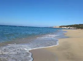 Aroha