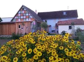 Ferienhaus Kimmelsbacher Hof - Sauna & Naturpool